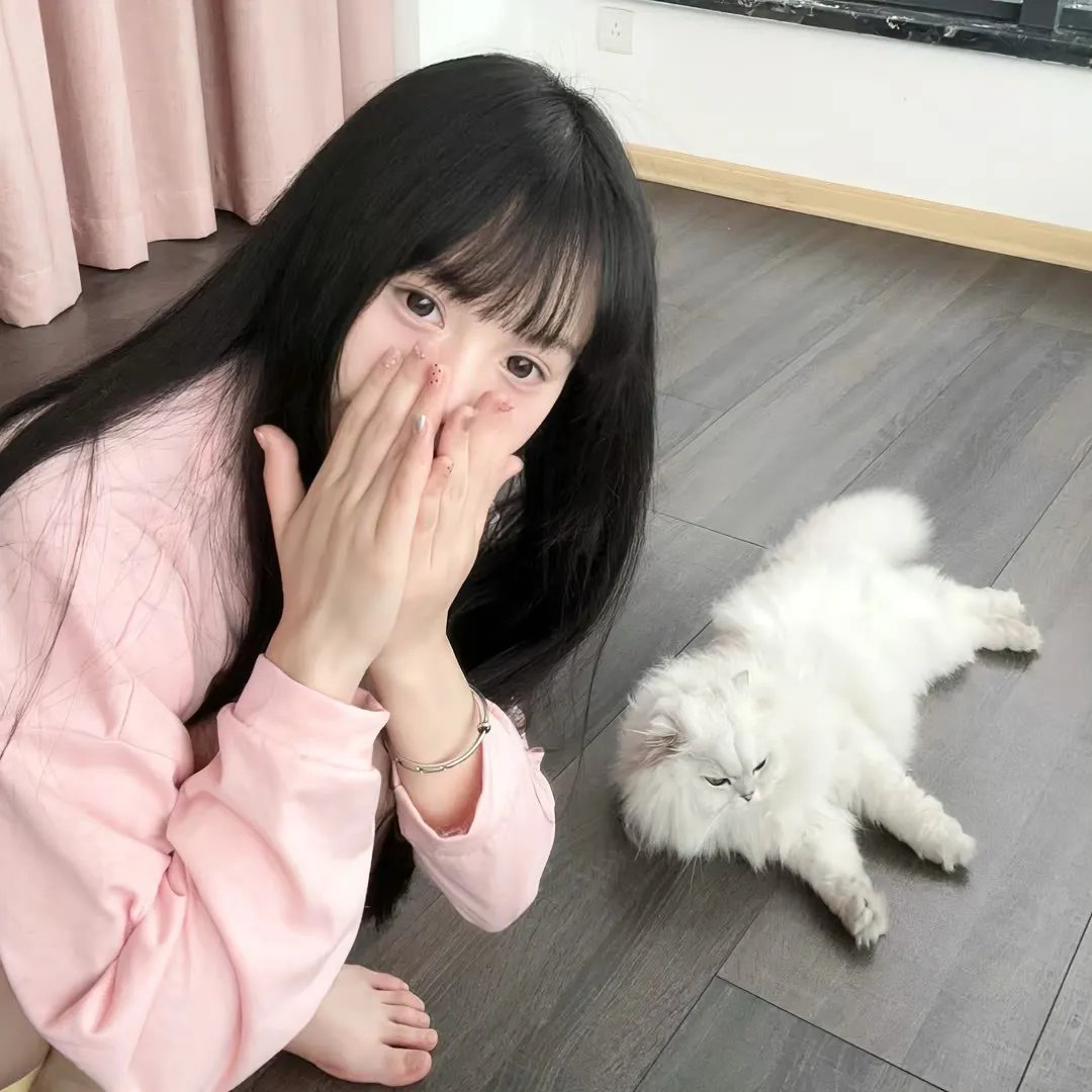 绿鸡蛋和绿火腿第二季